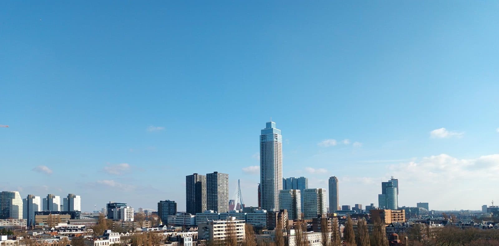 Rotterdam skyline and Erasmus Bridge