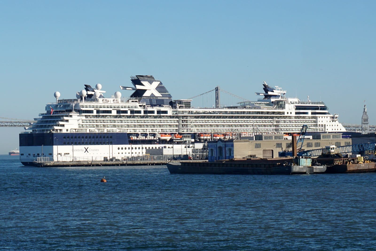 Celebrity Infinity